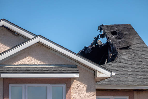 Top rated local Odor Removal specialists in Prospect, OH
